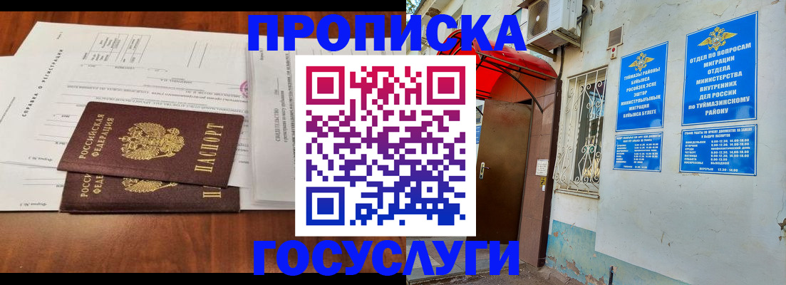 прописка в квартире в Новозыбкове